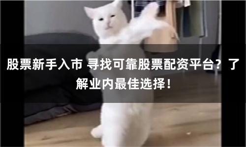 股票新手入市 寻找可靠股票配资平台？了解业内最佳选择！