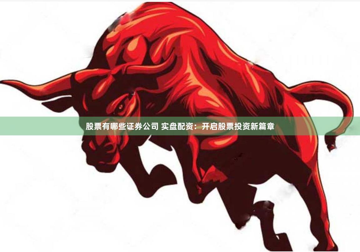 股票有哪些证券公司 实盘配资：开启股票投资新篇章