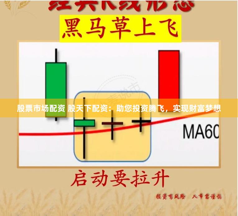 股票市场配资 股天下配资：助您投资腾飞，实现财富梦想
