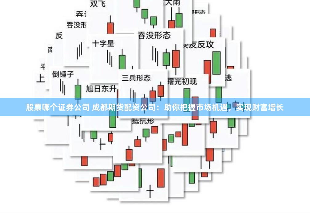 股票哪个证券公司 成都期货配资公司：助你把握市场机遇，实现财富增长