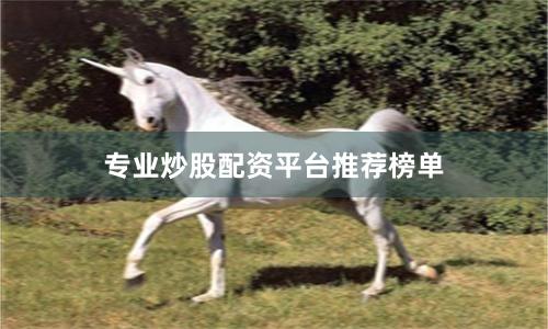 专业炒股配资平台推荐榜单